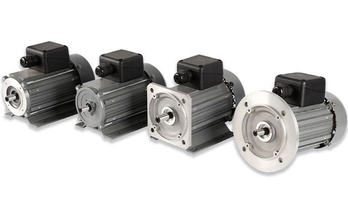 Custom BLDC Motor Solution