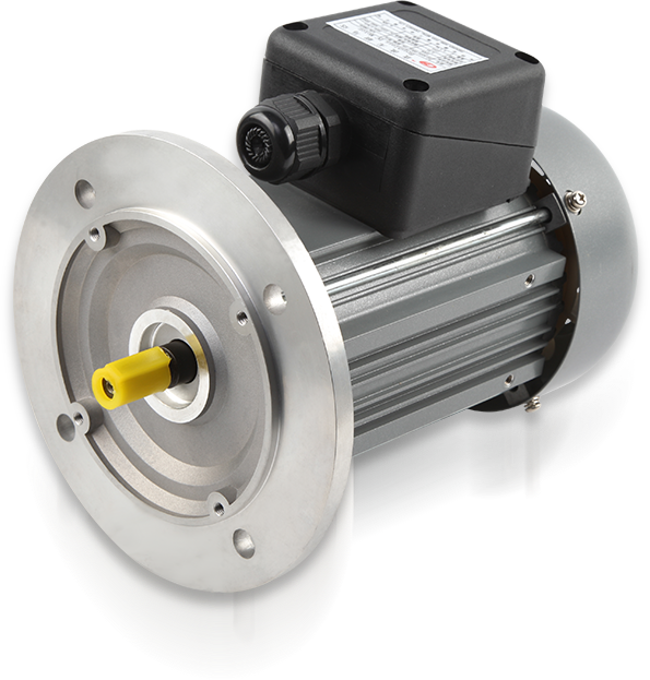 Custom BLDC Motors